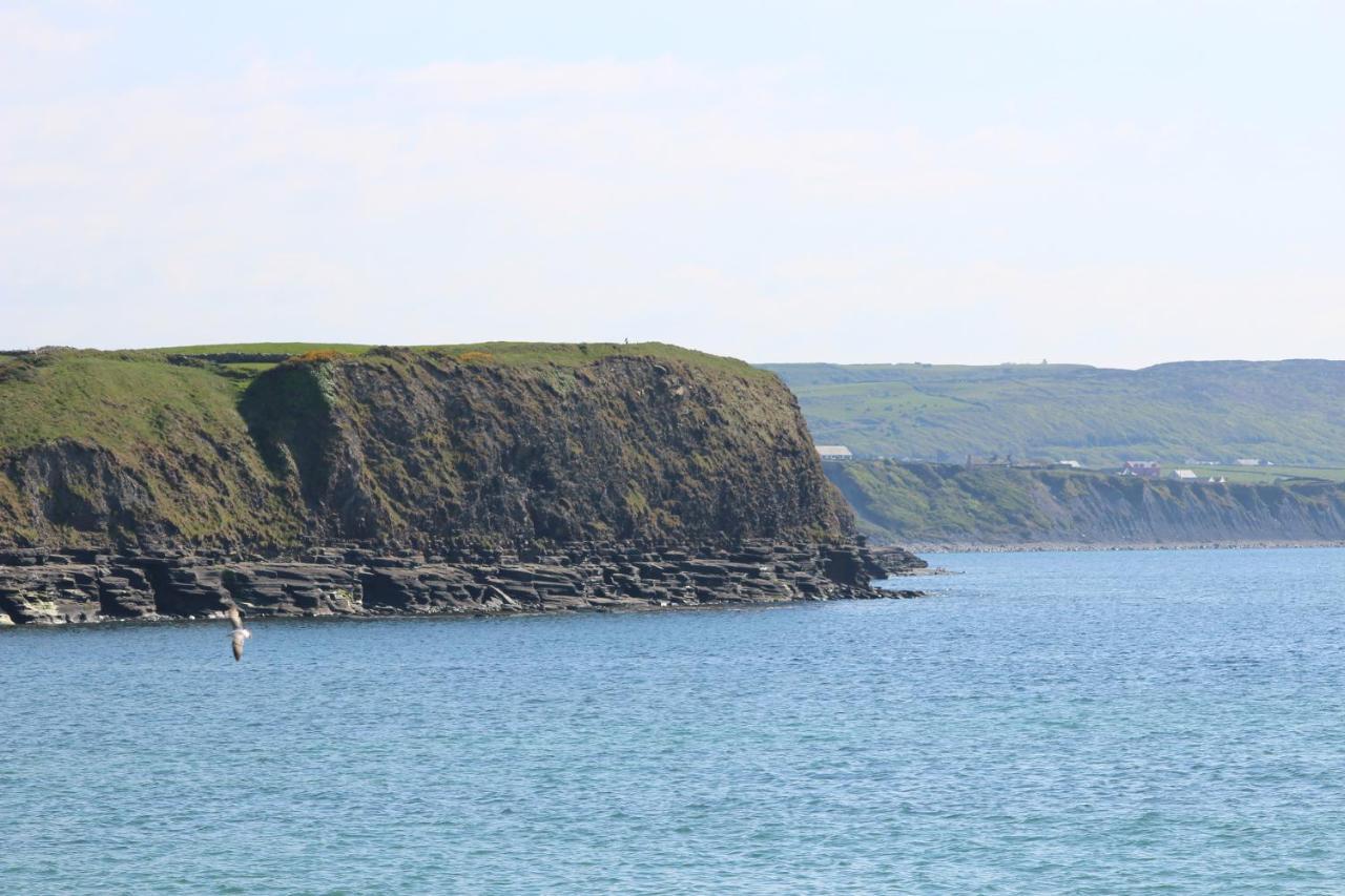 Slaney House Bed And Breakfast Lahinch Zewnętrze zdjęcie